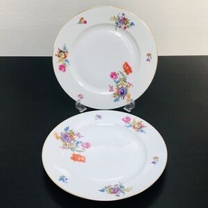 H&C Bavaria dinner plates